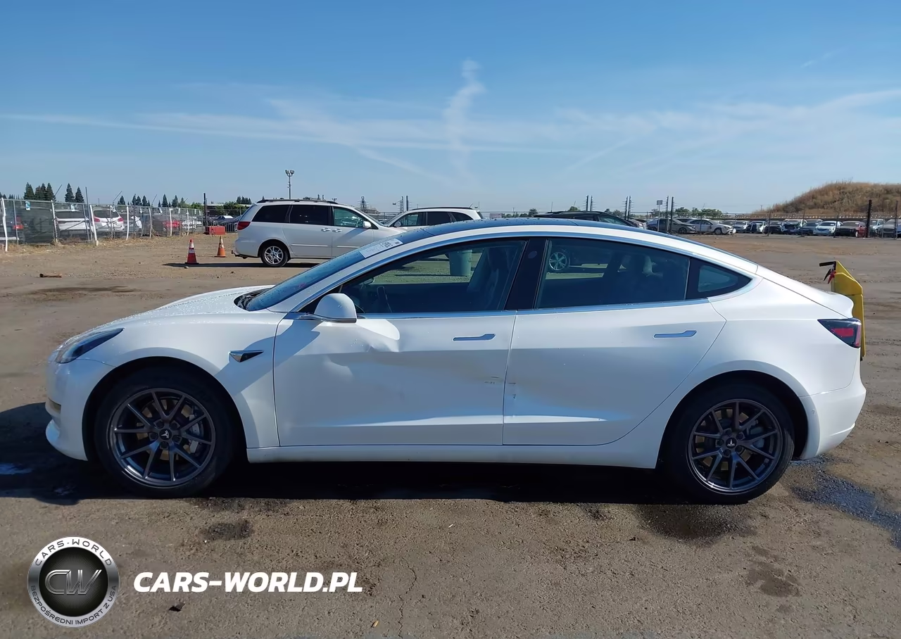 2019 Tesla Model 3 Long Range-Mid Range-Standard Range-Standard Range Plus VIN:5YJ3E1EA9KF347269 - 13