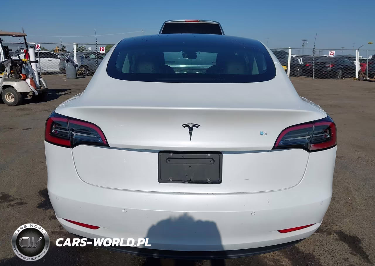 2019 Tesla Model 3 Long Range-Mid Range-Standard Range-Standard Range Plus VIN:5YJ3E1EA9KF347269 - 15