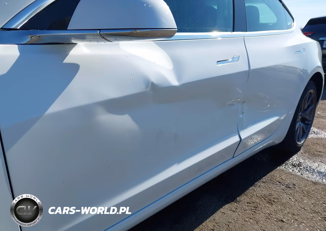 2019 Tesla Model 3 Long Range-Mid Range-Standard Range-Standard Range Plus VIN:5YJ3E1EA9KF347269 - 18