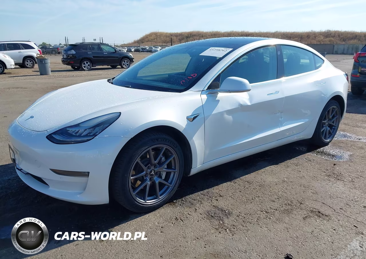 2019 Tesla Model 3 Long Range-Mid Range-Standard Range-Standard Range Plus VIN:5YJ3E1EA9KF347269 - 2
