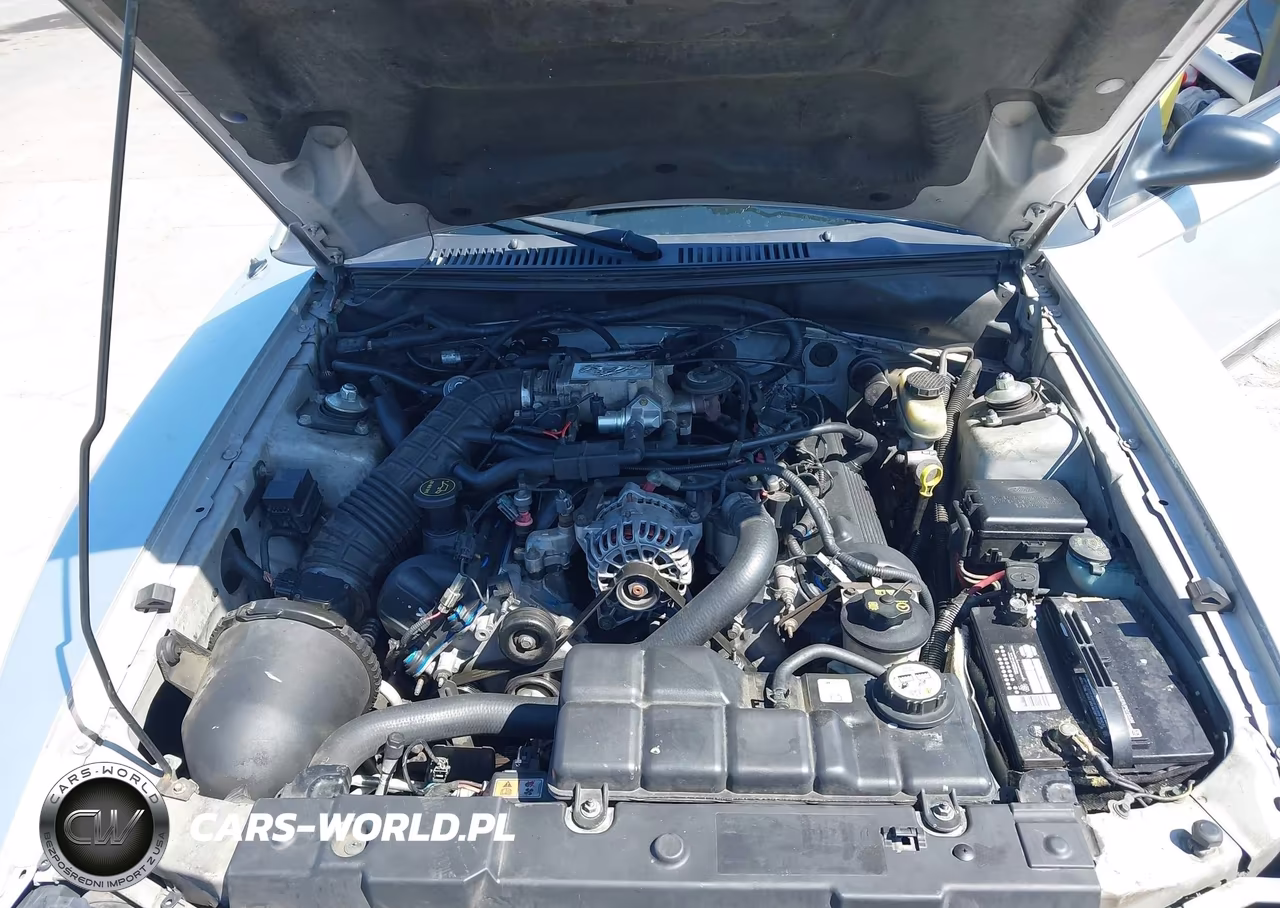 2003 Ford Mustang Gt VIN:1FAFP42X13F339848 - 10