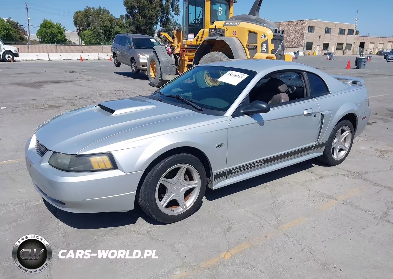 2003 Ford Mustang Gt VIN:1FAFP42X13F339848 - 2