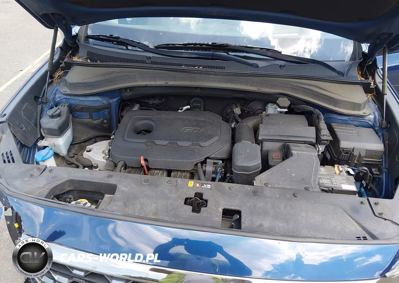 2020 Hyundai Santa Fe Limited VIN:5NMS5CAD5LH226620 - 10