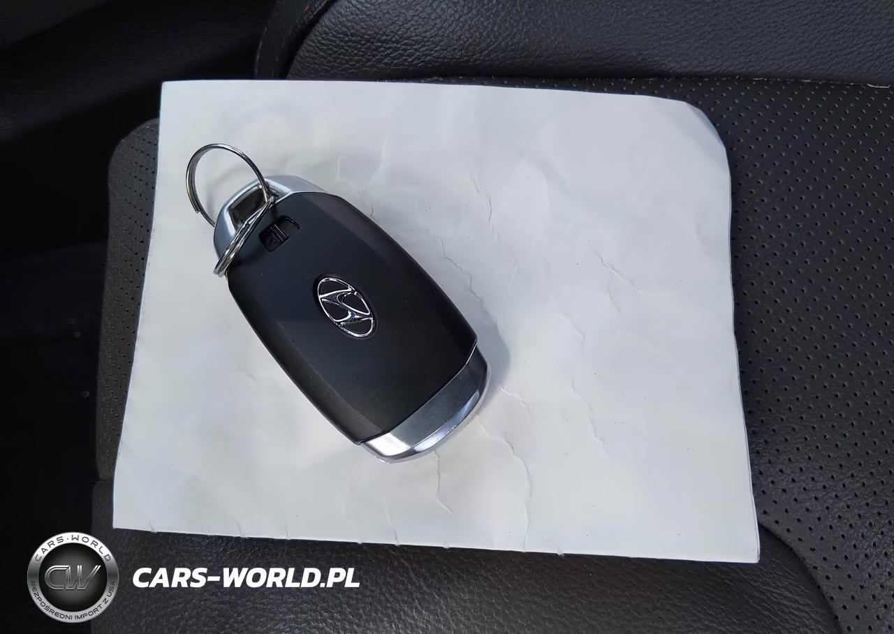 2020 Hyundai Santa Fe Limited VIN:5NMS5CAD5LH226620 - 11