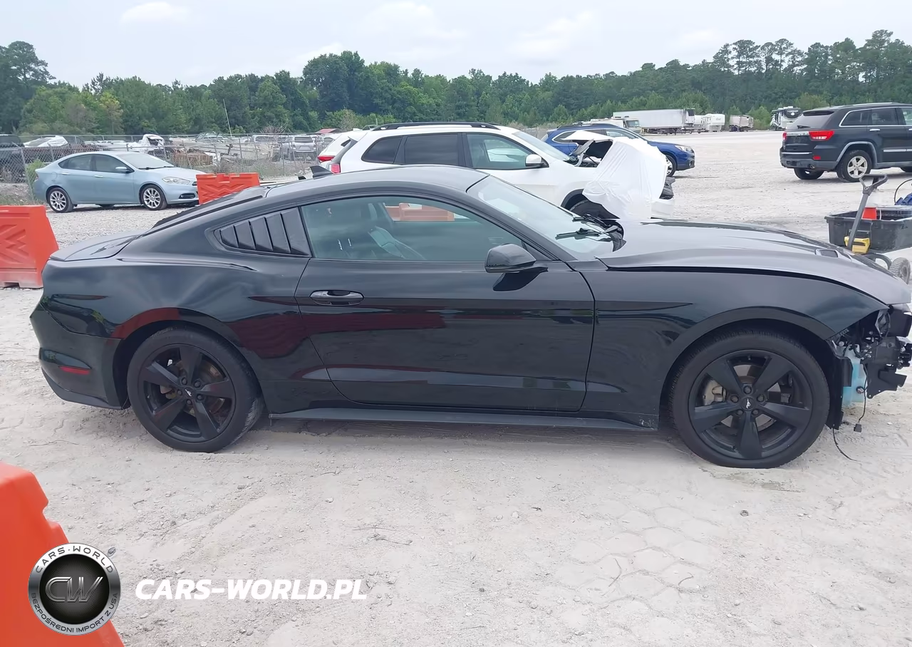 2021 Ford Mustang Ecoboost Premium Fastback VIN:1FA6P8TH9M5145171 - 13