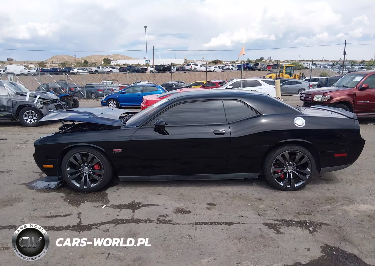 2013 Dodge Challenger Srt8 VIN:2C3CDYCJ5DH651926 - 14