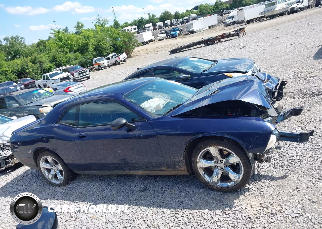 2014 Dodge Challenger Sxt VIN:2C3CDYAG6EH111431 - 12