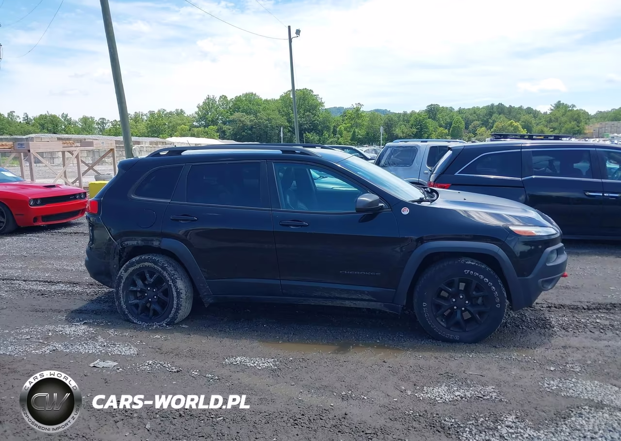 2017 Jeep Cherokee Trailhawk 4X4 VIN:1C4PJMBS9HW620713 - 13