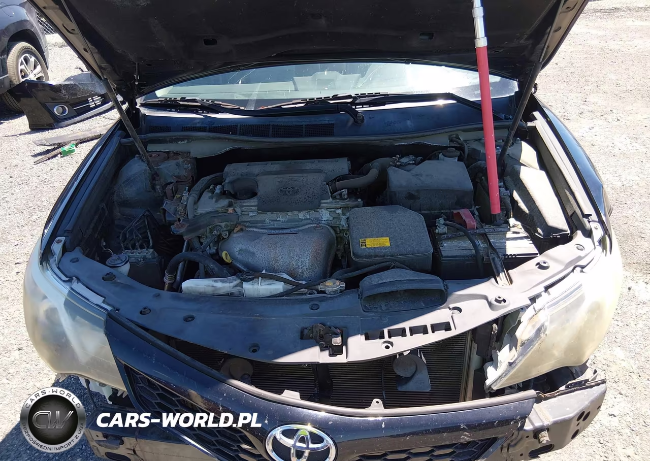 2014 Toyota Camry Se VIN:4T1BF1FKXEU812570 - 10