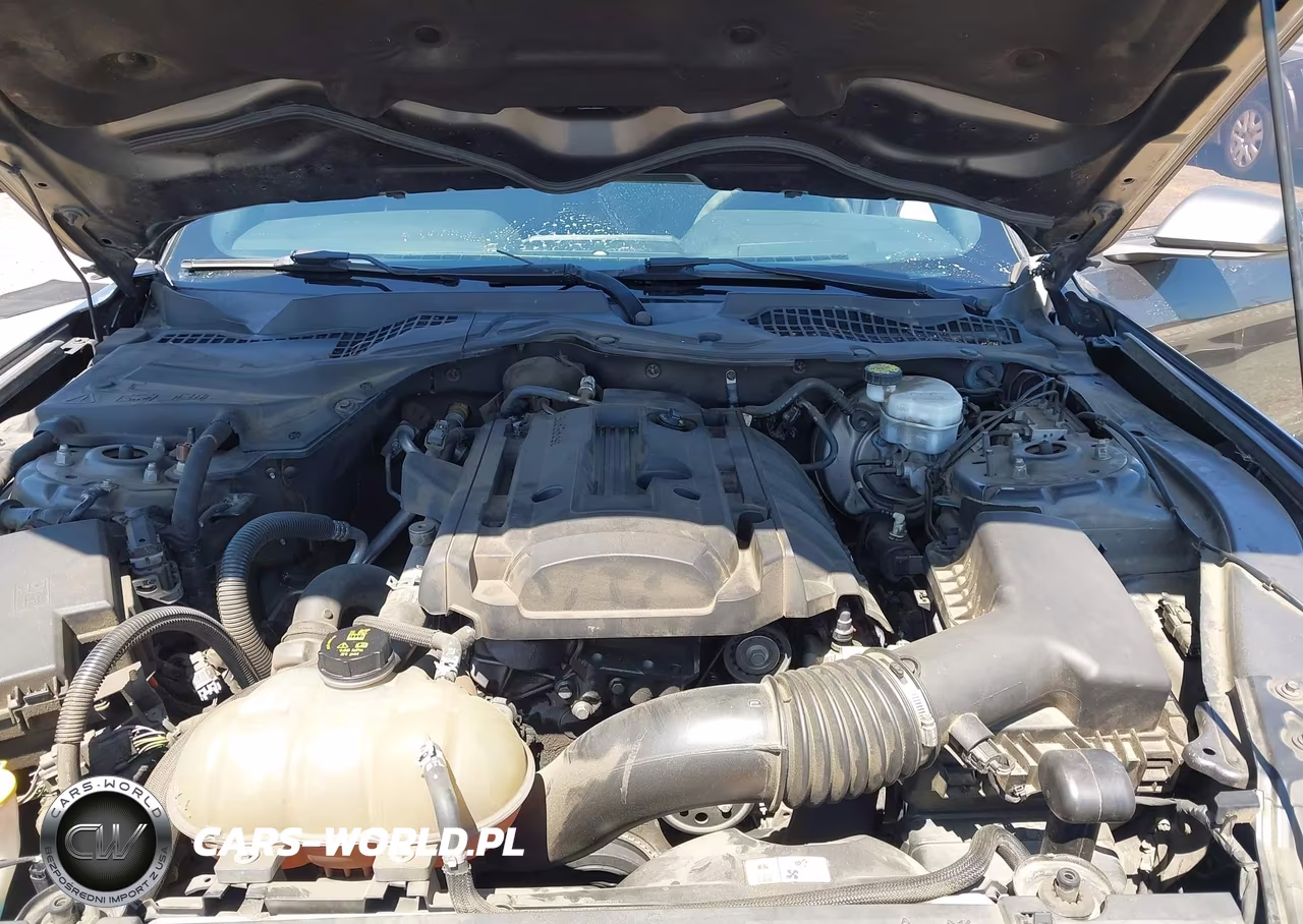 2018 Ford Mustang Ecoboost VIN:1FA6P8TH3J5114526 - 10
