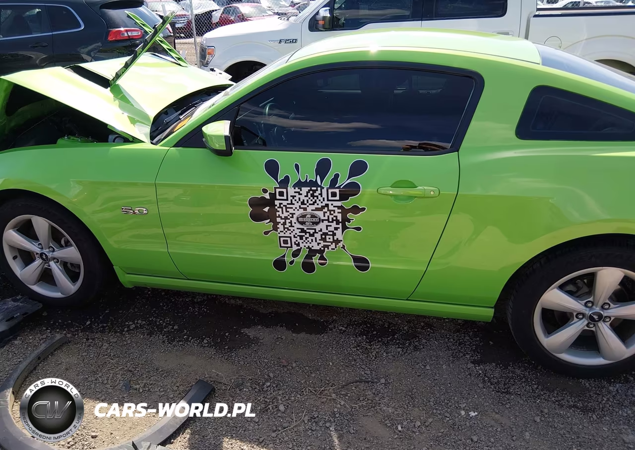 2013 Ford Mustang Gt VIN:1ZVBP8CF9D5211688 - 14