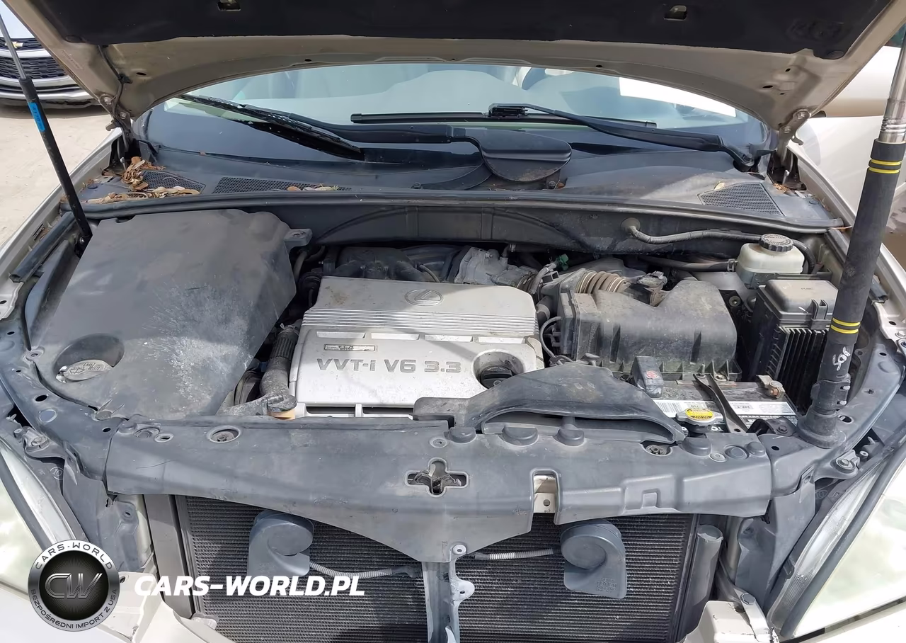 2004 Lexus Rx 330 VIN:JTJGA31U340042292 - 10