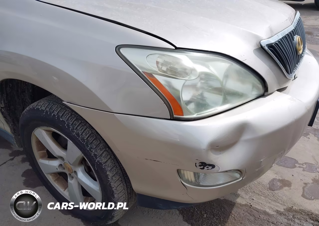 2004 Lexus Rx 330 VIN:JTJGA31U340042292 - 12
