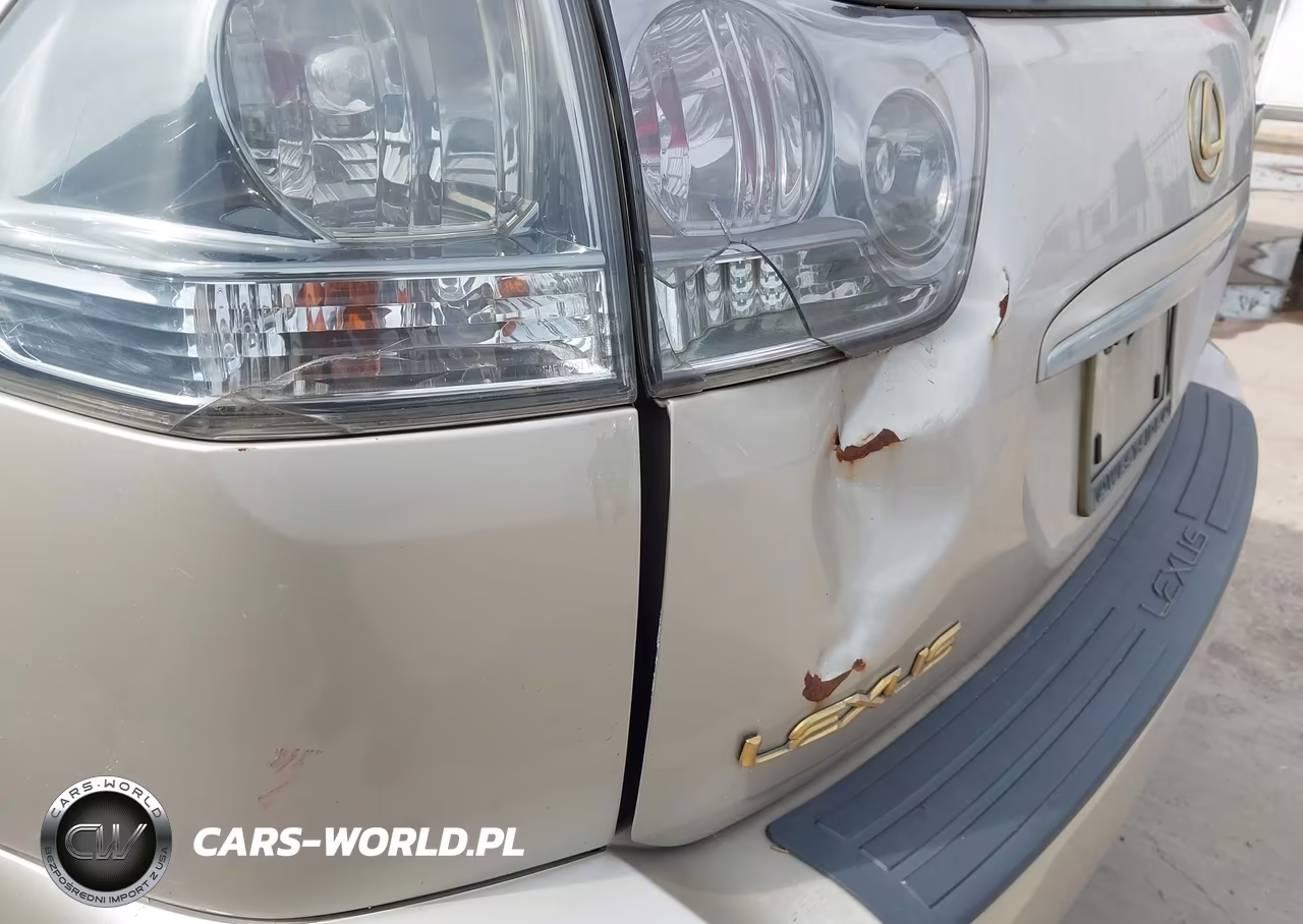 2004 Lexus Rx 330 VIN:JTJGA31U340042292 - 13