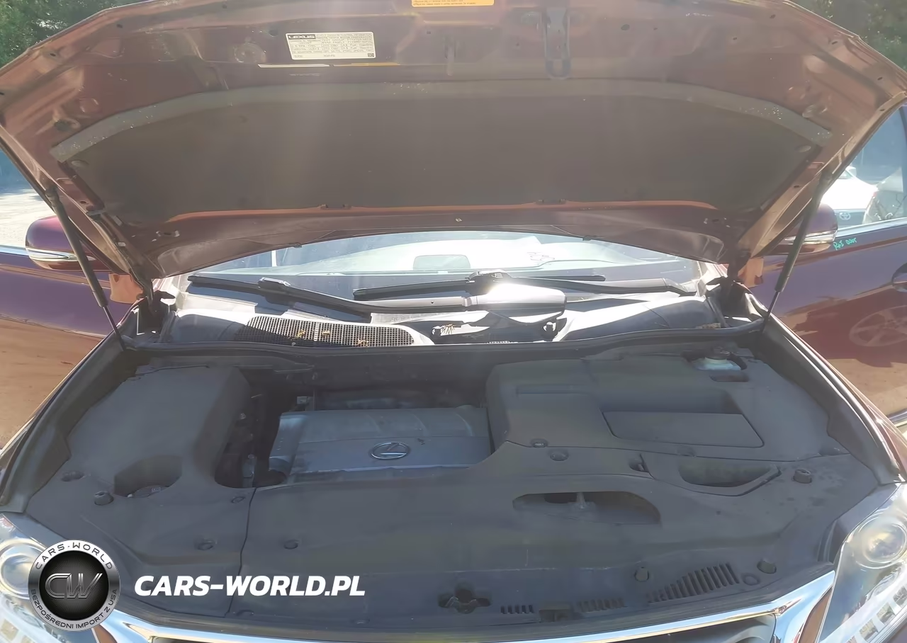2015 Lexus Rx 350 VIN:JTJBK1BA8F2480877 - 10