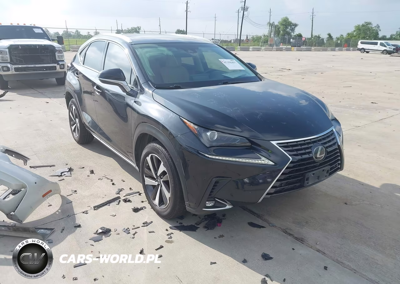 2018 Lexus Nx 300 – zdjęcie 1 z 16