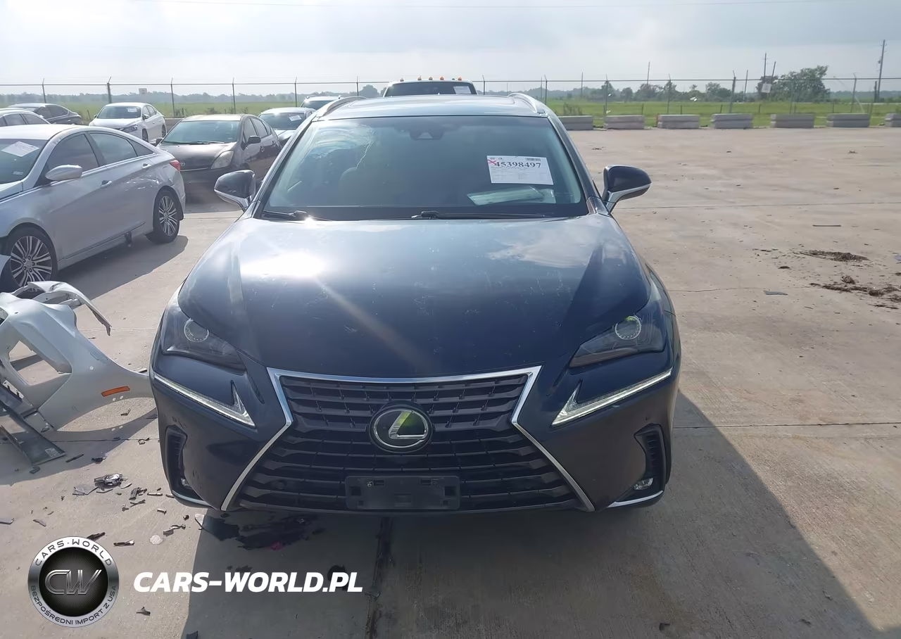 2018 Lexus Nx 300 VIN:JTJYARBZ6J2090662 - 12