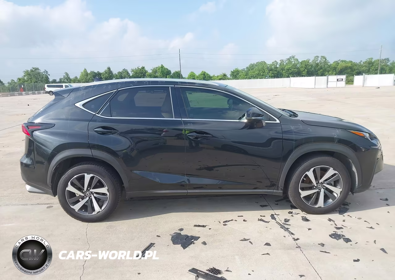2018 Lexus Nx 300 VIN:JTJYARBZ6J2090662 - 13