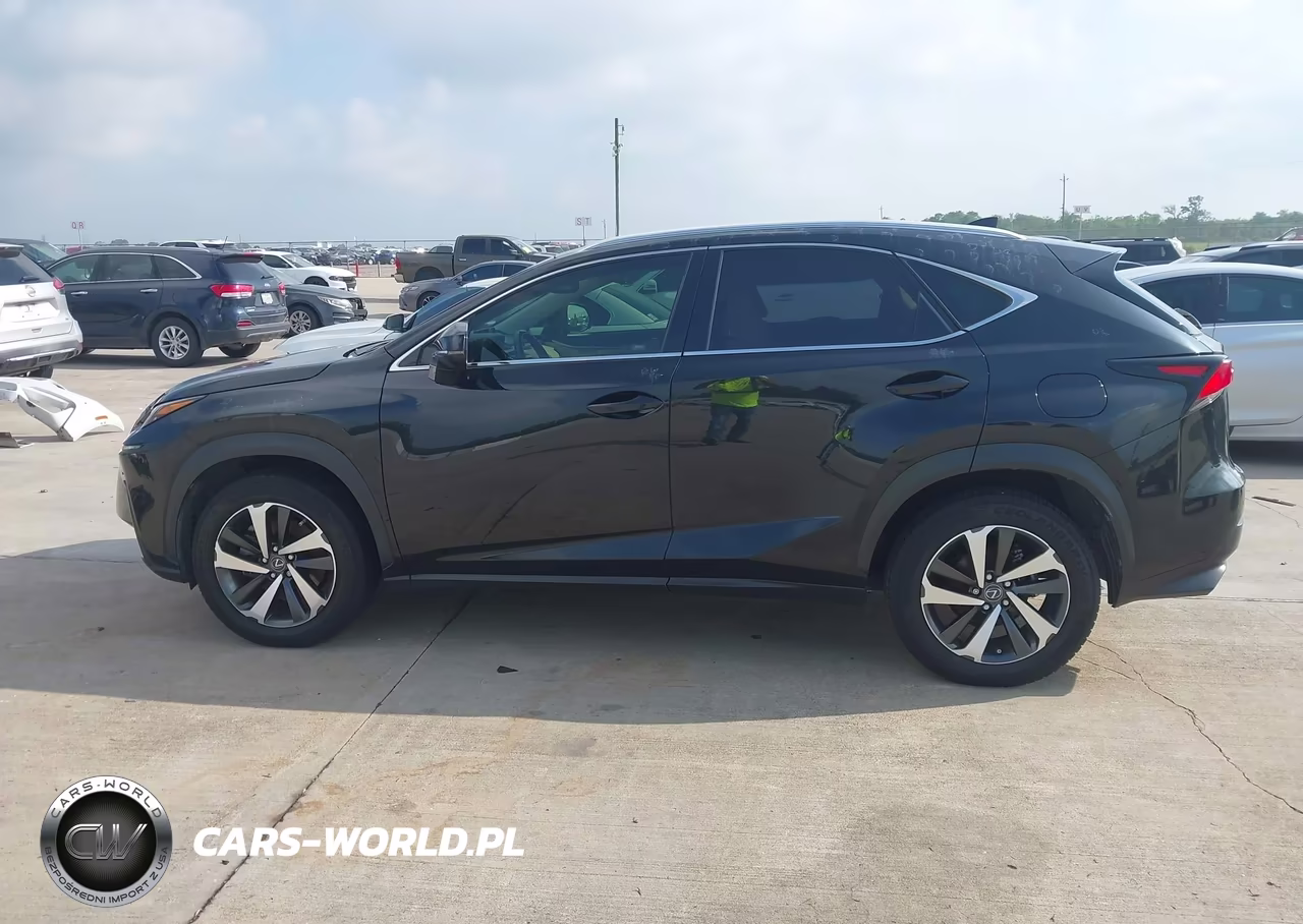 2018 Lexus Nx 300 VIN:JTJYARBZ6J2090662 - 14