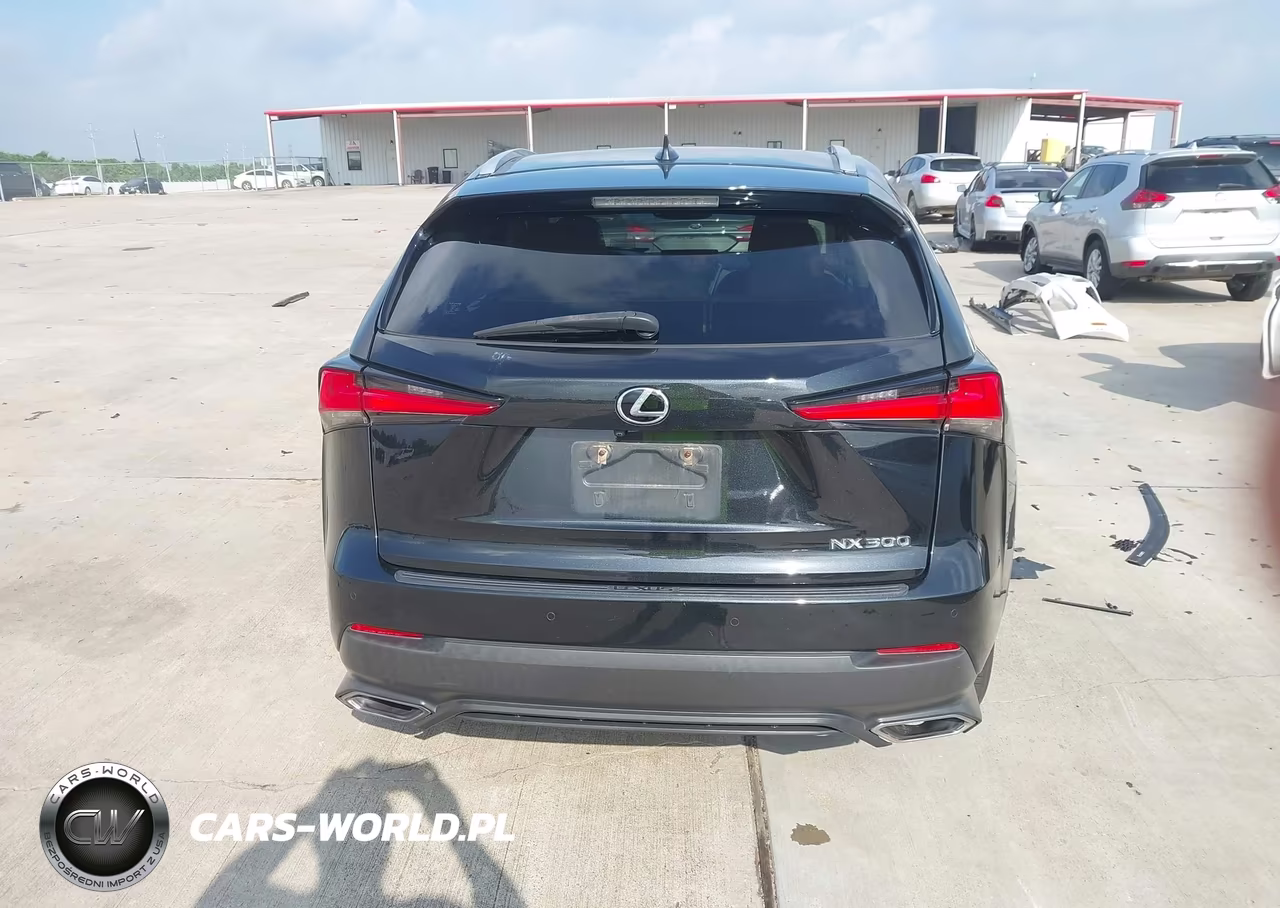 2018 Lexus Nx 300 VIN:JTJYARBZ6J2090662 - 16
