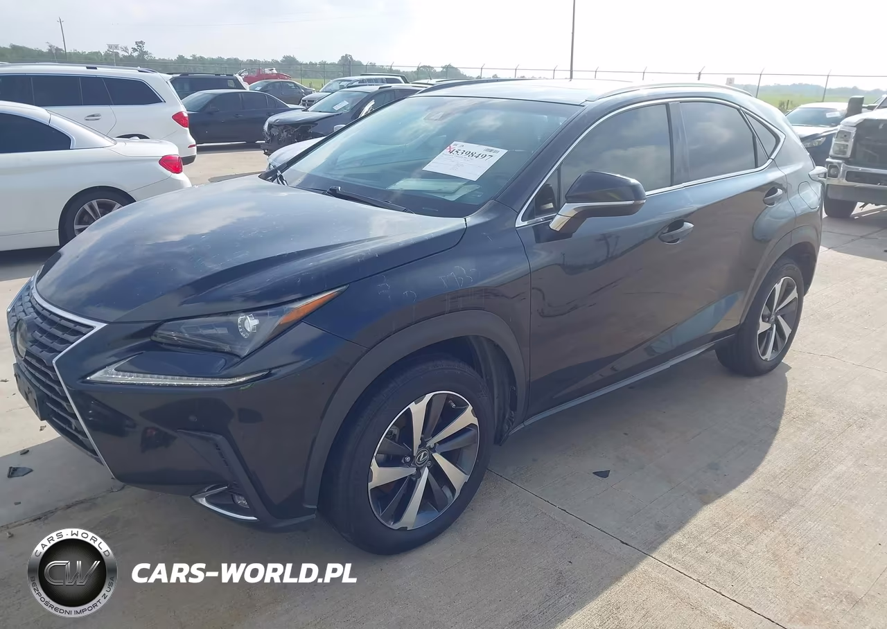 2018 Lexus Nx 300 VIN:JTJYARBZ6J2090662 - 2