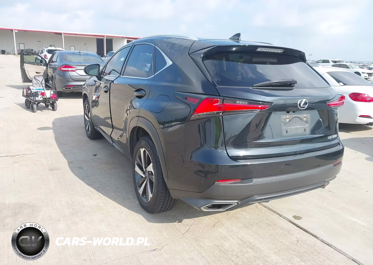 2018 Lexus Nx 300 VIN:JTJYARBZ6J2090662 - 3