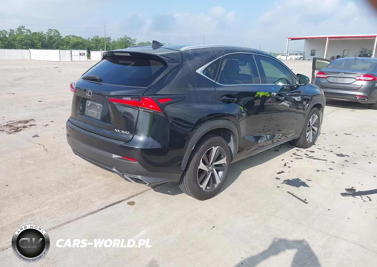 2018 Lexus Nx 300 VIN:JTJYARBZ6J2090662 - 4