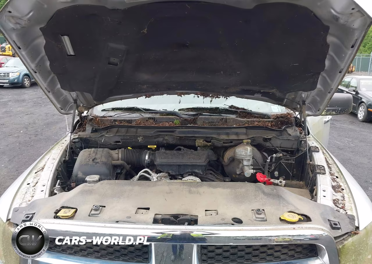 2010 Dodge Ram 1500 VIN:1D7RV1GP3AS160550 - 10