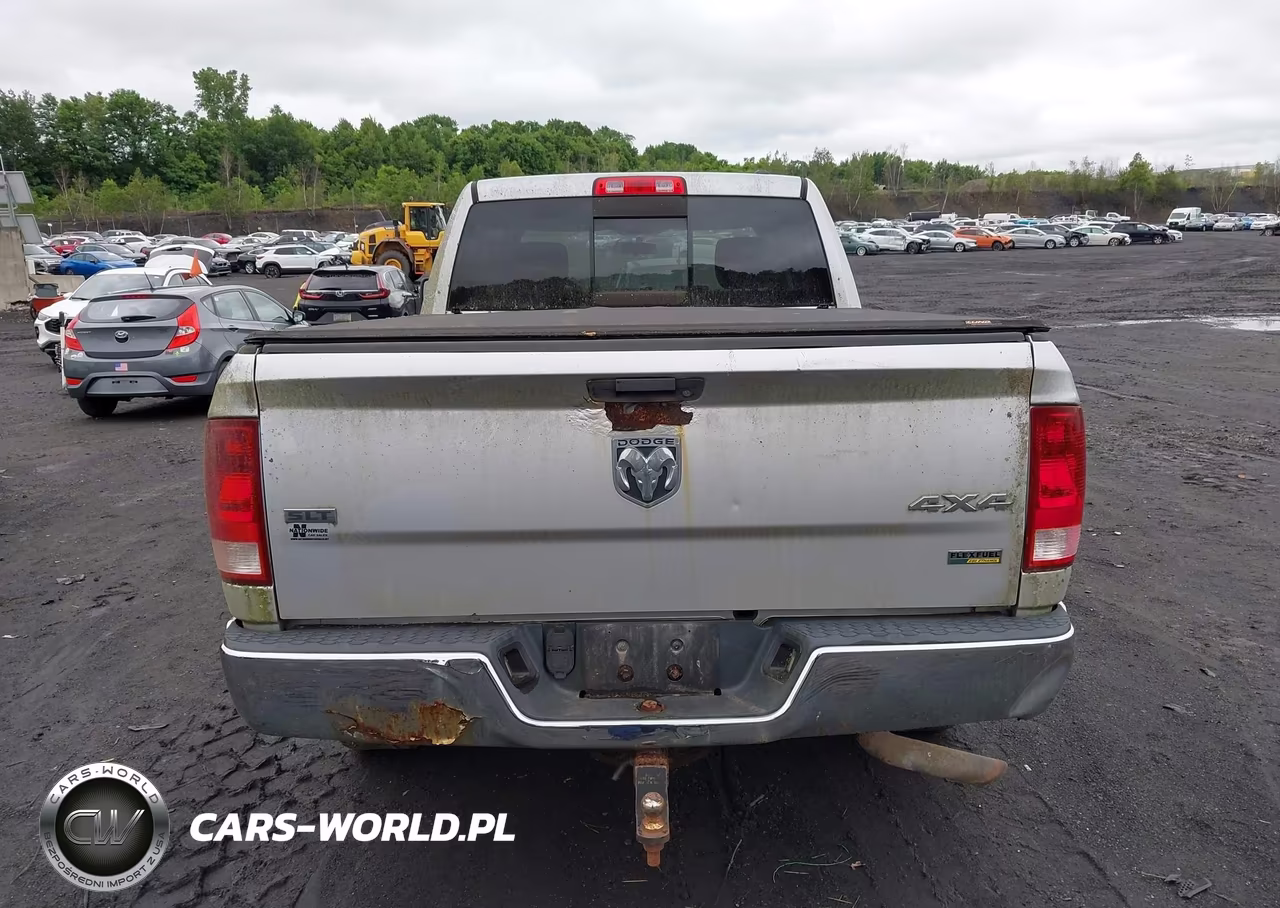 2010 Dodge Ram 1500 VIN:1D7RV1GP3AS160550 - 16