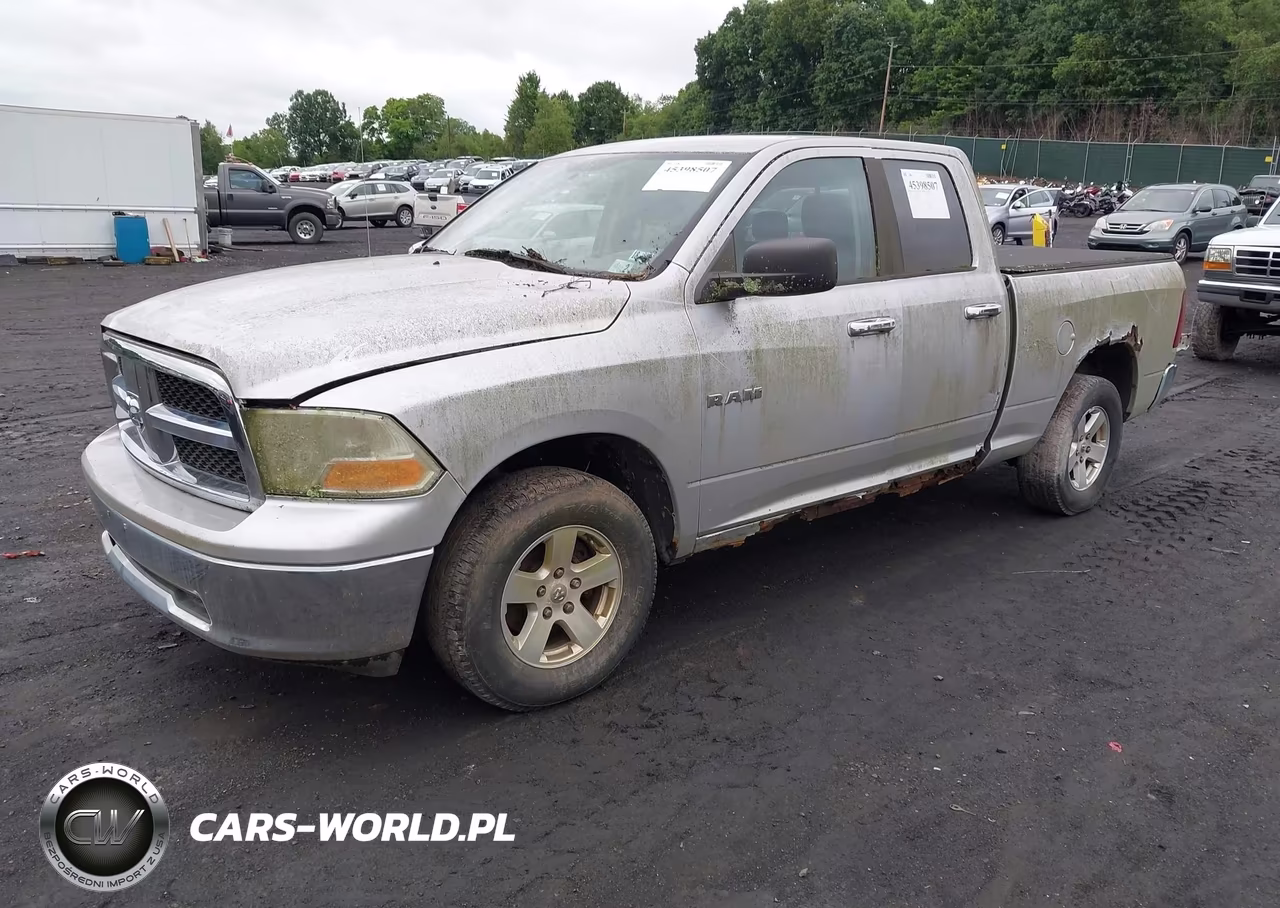 2010 Dodge Ram 1500 VIN:1D7RV1GP3AS160550 - 2