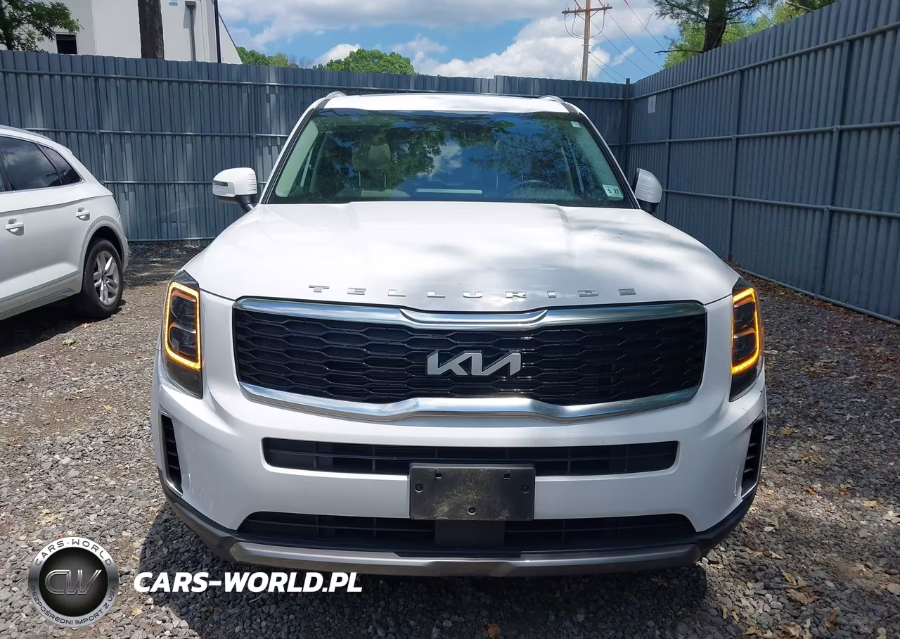 2022 Kia Telluride Ex VIN:5XYP34HC4NG320189 - 12