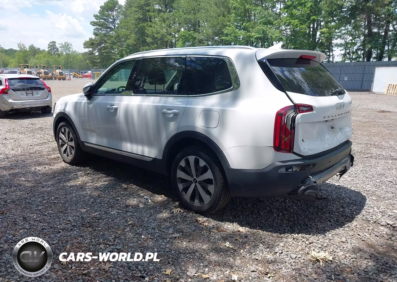 2022 Kia Telluride Ex VIN:5XYP34HC4NG320189 - 3