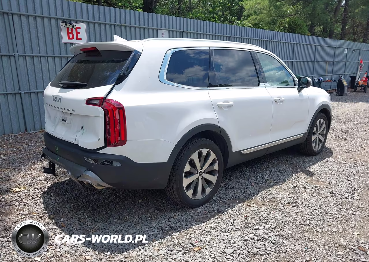2022 Kia Telluride Ex VIN:5XYP34HC4NG320189 - 4