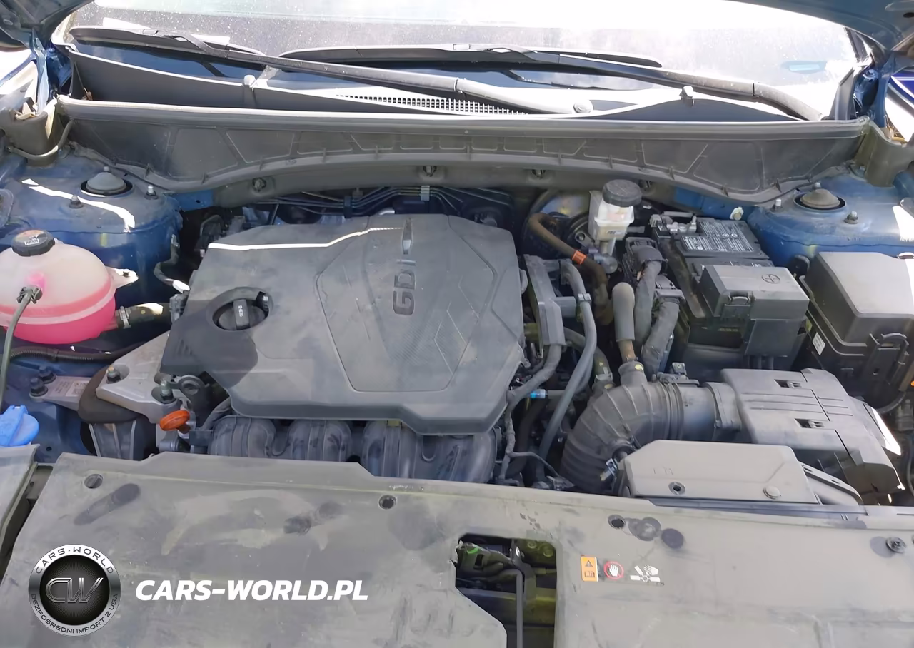 2024 Hyundai Tucson Sel VIN:5NMJF3DE5RH329252 - 10