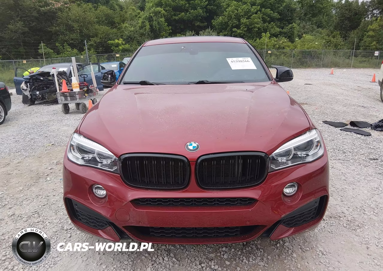 2017 BMW X6 xDrive35I VIN:5UXKU2C32H0U29309 - 12