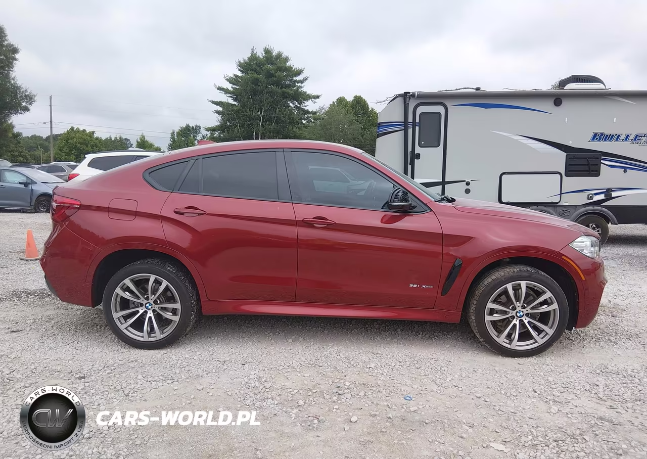 2017 BMW X6 xDrive35I VIN:5UXKU2C32H0U29309 - 13