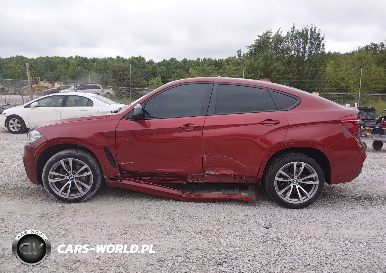 2017 BMW X6 xDrive35I VIN:5UXKU2C32H0U29309 - 14