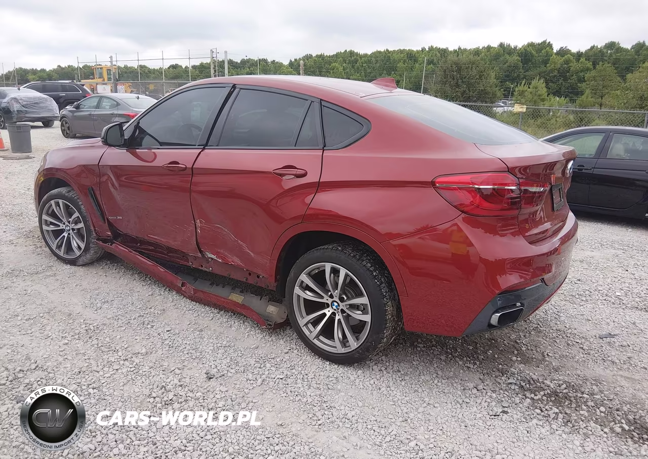 2017 BMW X6 xDrive35I VIN:5UXKU2C32H0U29309 - 3