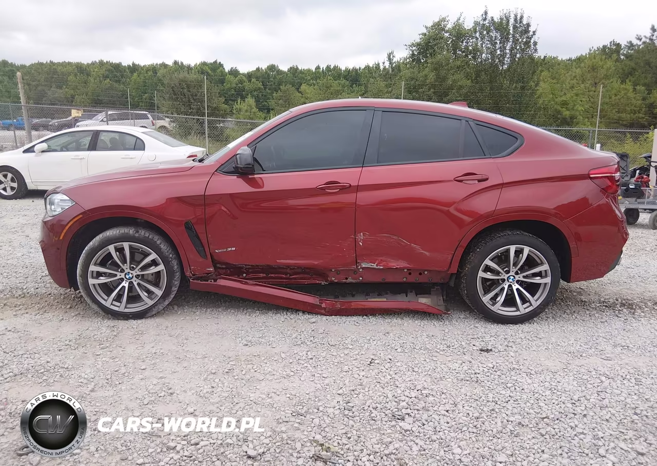 2017 BMW X6 xDrive35I VIN:5UXKU2C32H0U29309 - 6