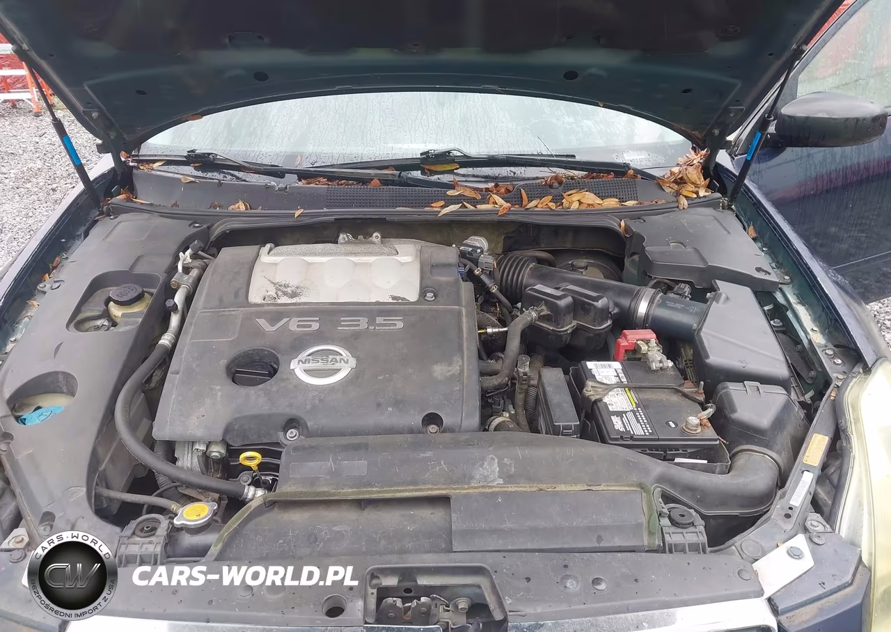2006 Nissan Maxima 3.5 Sl VIN:1N4BA41EX6C839626 - 10