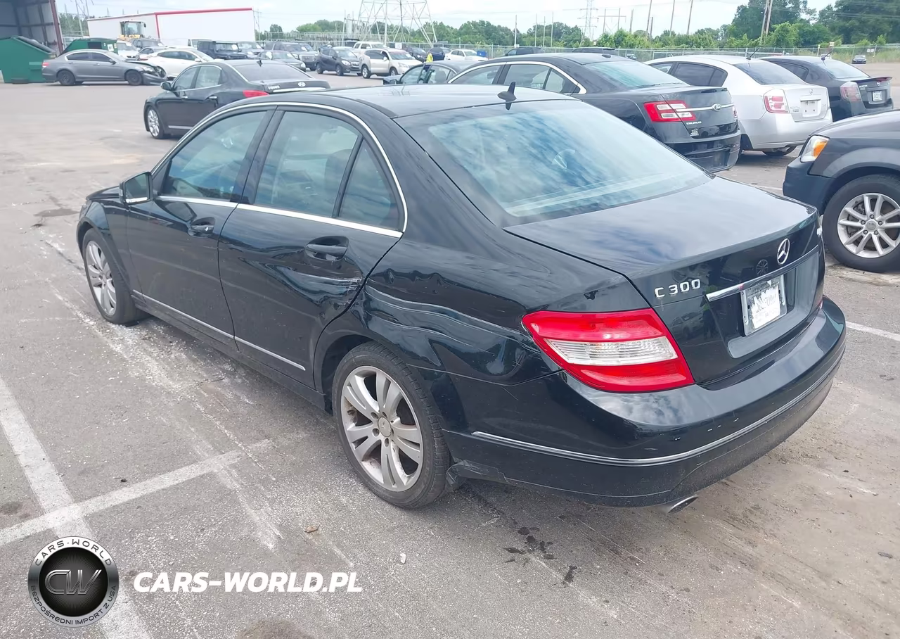 2010 Mercedes-Benz C 300 Luxury 4Matic-Sport 4Matic VIN:WDDGF8BB3AF471543 - 3