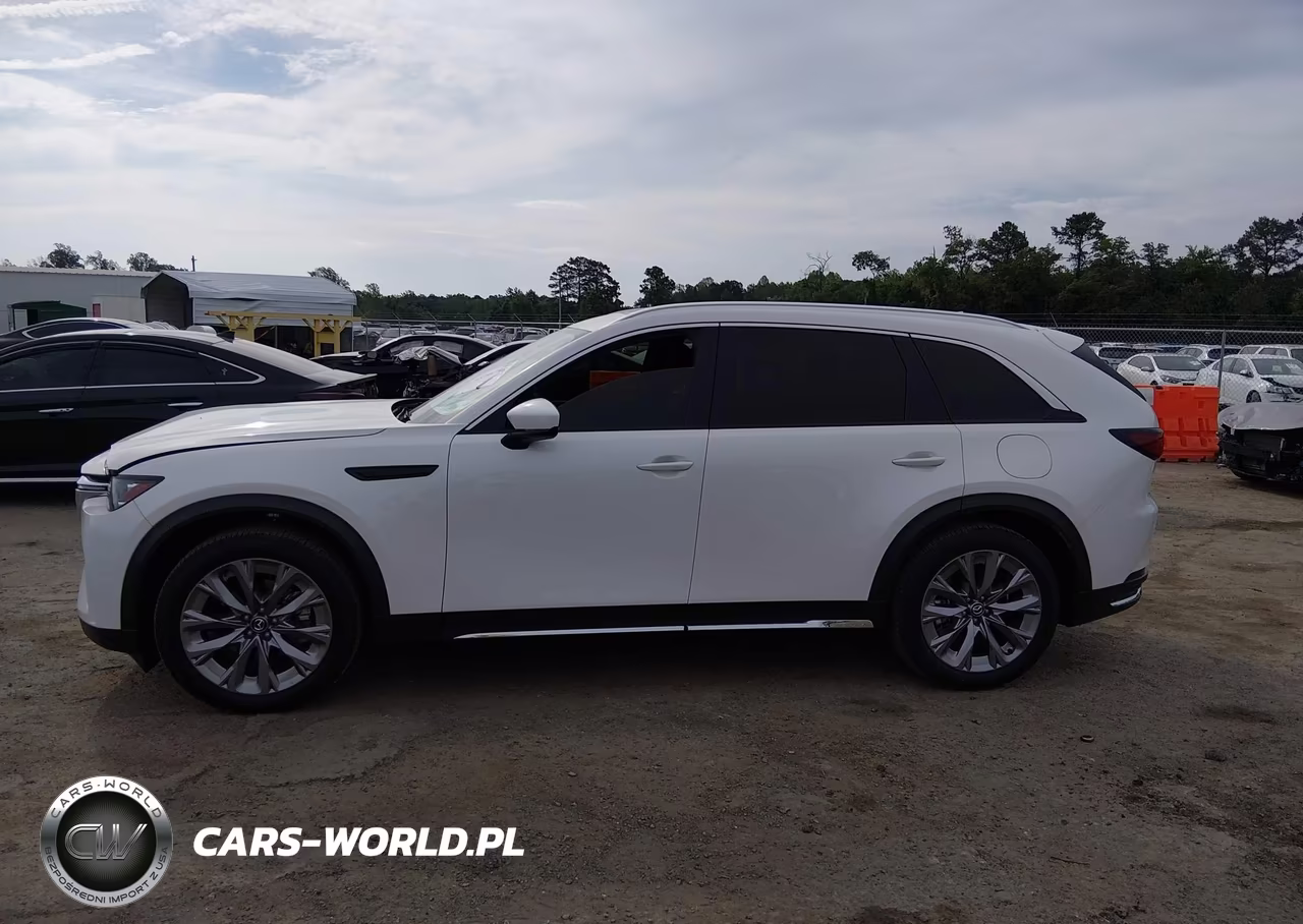 2024 Mazda Cx-90 3.3 Turbo Premium VIN:JM3KKDHD4R1125518 - 14
