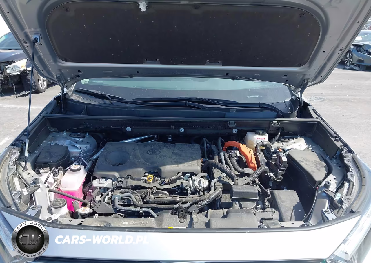 2024 Toyota Rav4 Hybrid Xle VIN:4T3RWRFVXRU112908 - 10