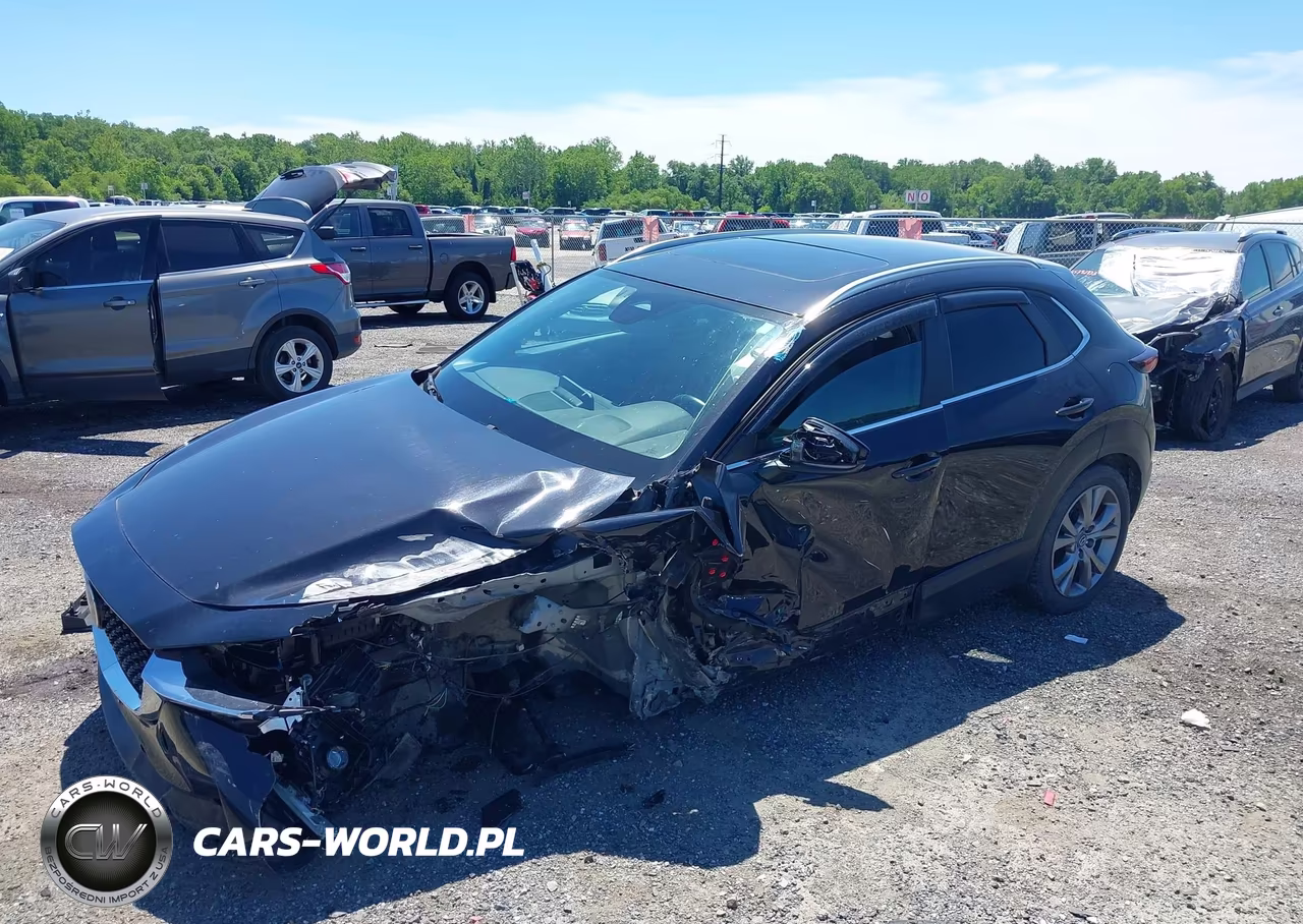 2024 Mazda Cx-30 2.5 S Preferred Package VIN:3MVDMBCM5RM652038 - 2