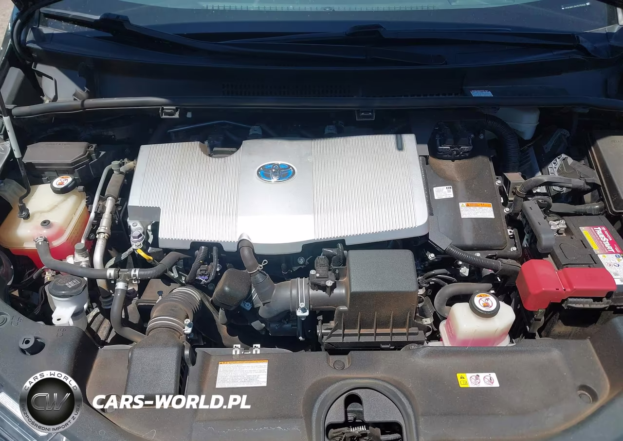 2019 Toyota Prius Limited VIN:JTDKARFU8K3075826 - 10