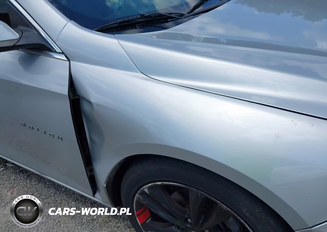 2019 Chevrolet Malibu Lt VIN:1G1ZD5ST6KF211809 - 17