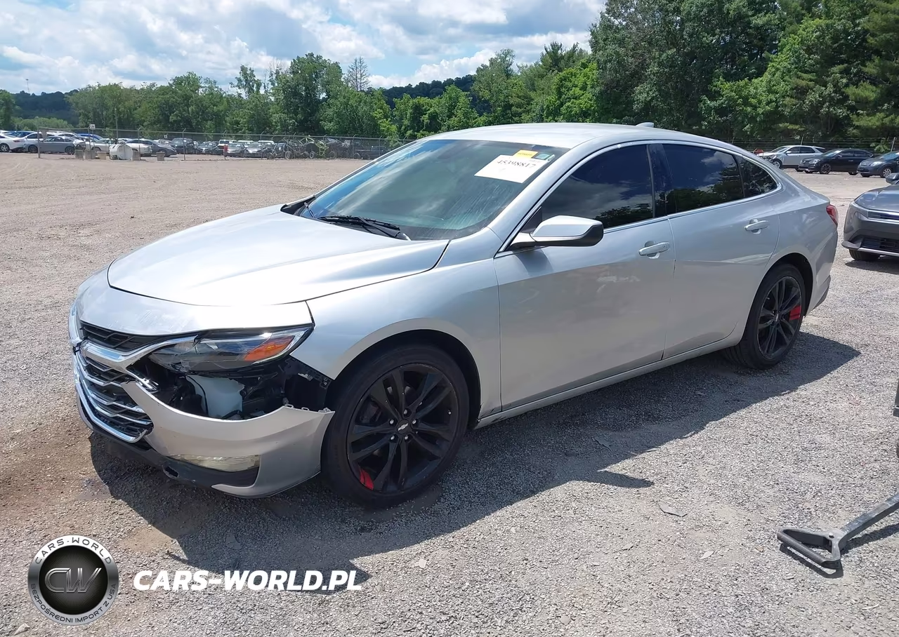 2019 Chevrolet Malibu Lt VIN:1G1ZD5ST6KF211809 - 2