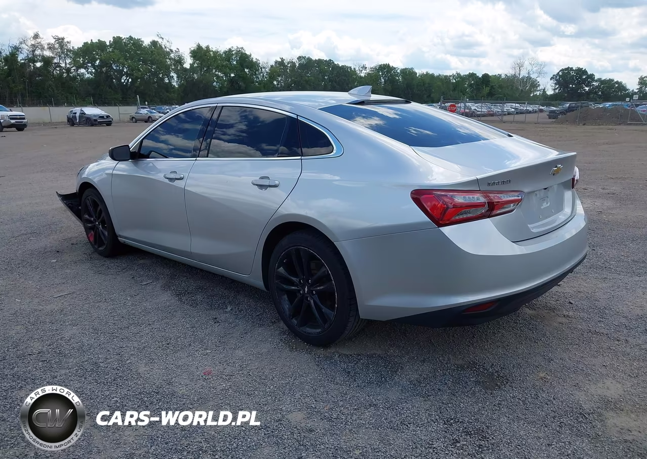 2019 Chevrolet Malibu Lt VIN:1G1ZD5ST6KF211809 - 3