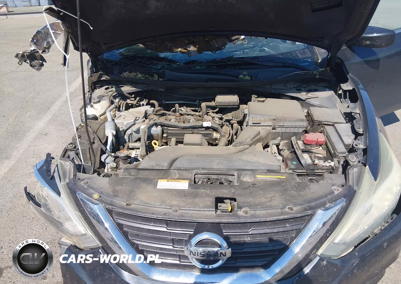 2016 Nissan Altima 2.5 VIN:1N4AL3AP4GC117801 - 10