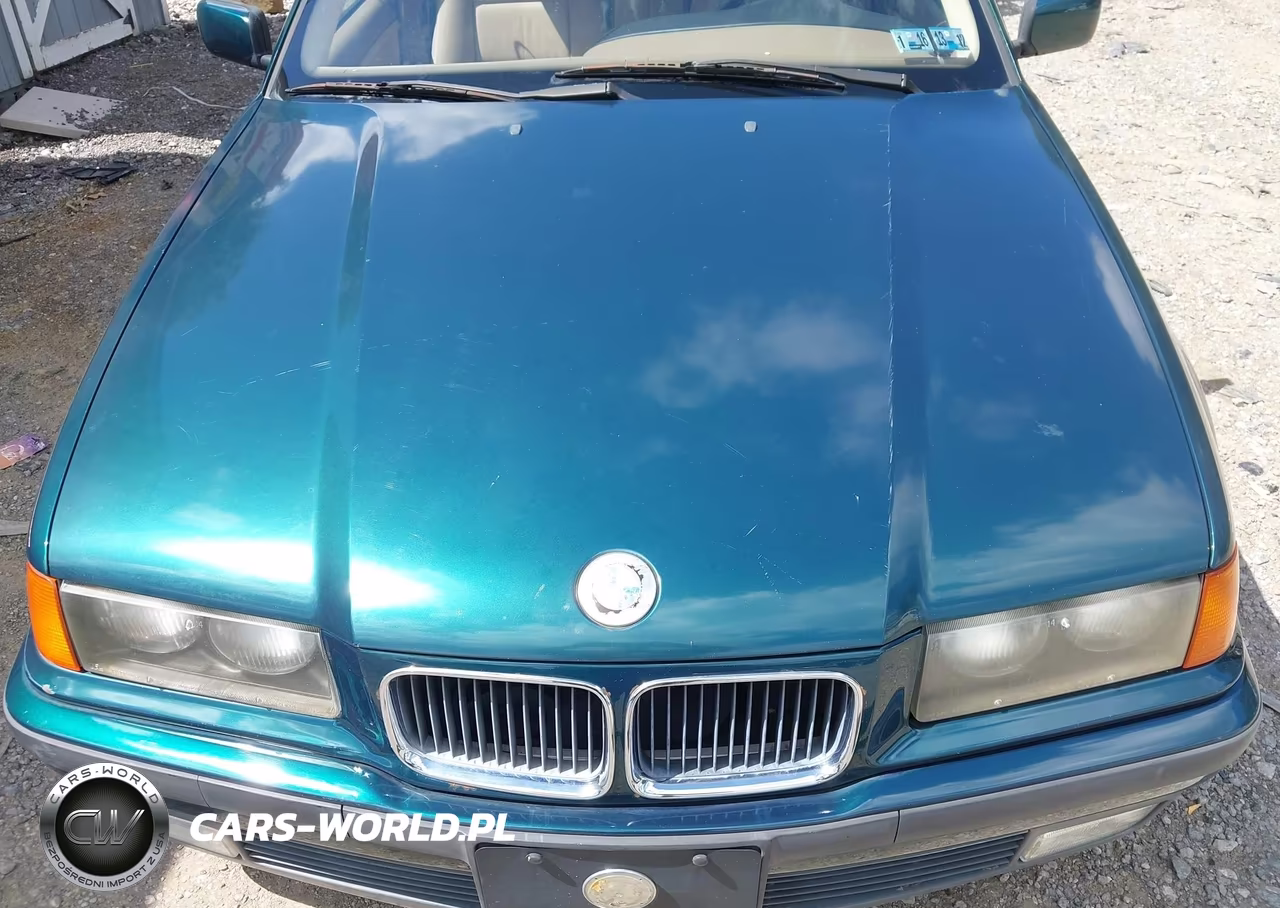 1994 BMW 325 I Automatic VIN:WBACB432XRFM00828 - 10